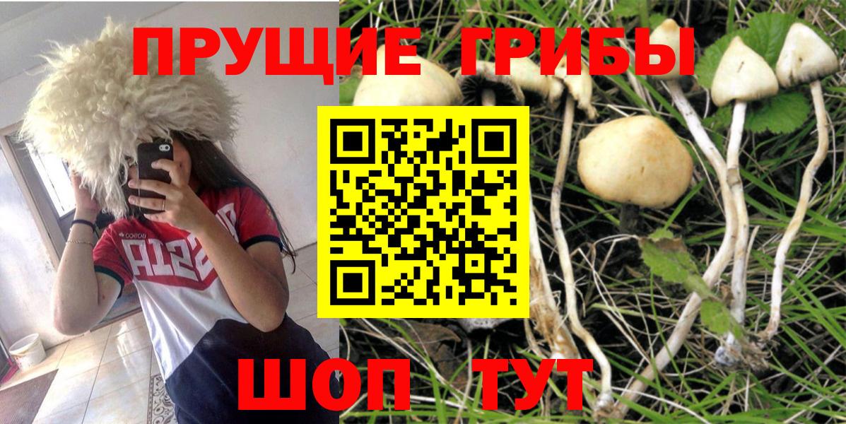 Псилоцибиновые грибы Psilocybe  Псилоцибиновые грибы MAGIC MUSHROOMS  Вход с VPN  Альметьевск 