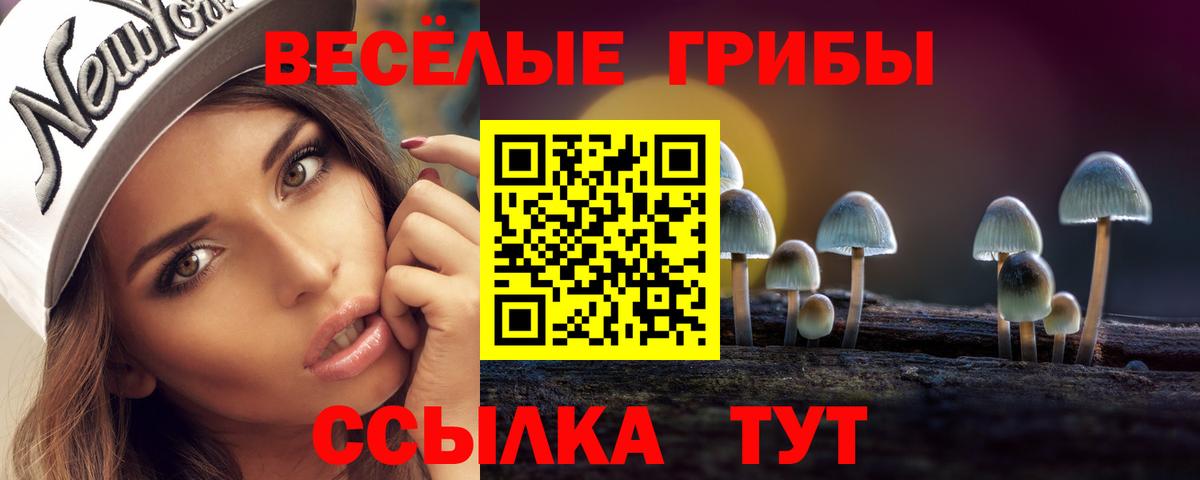 Псилоцибиновые грибы Psilocybe Альметьевск